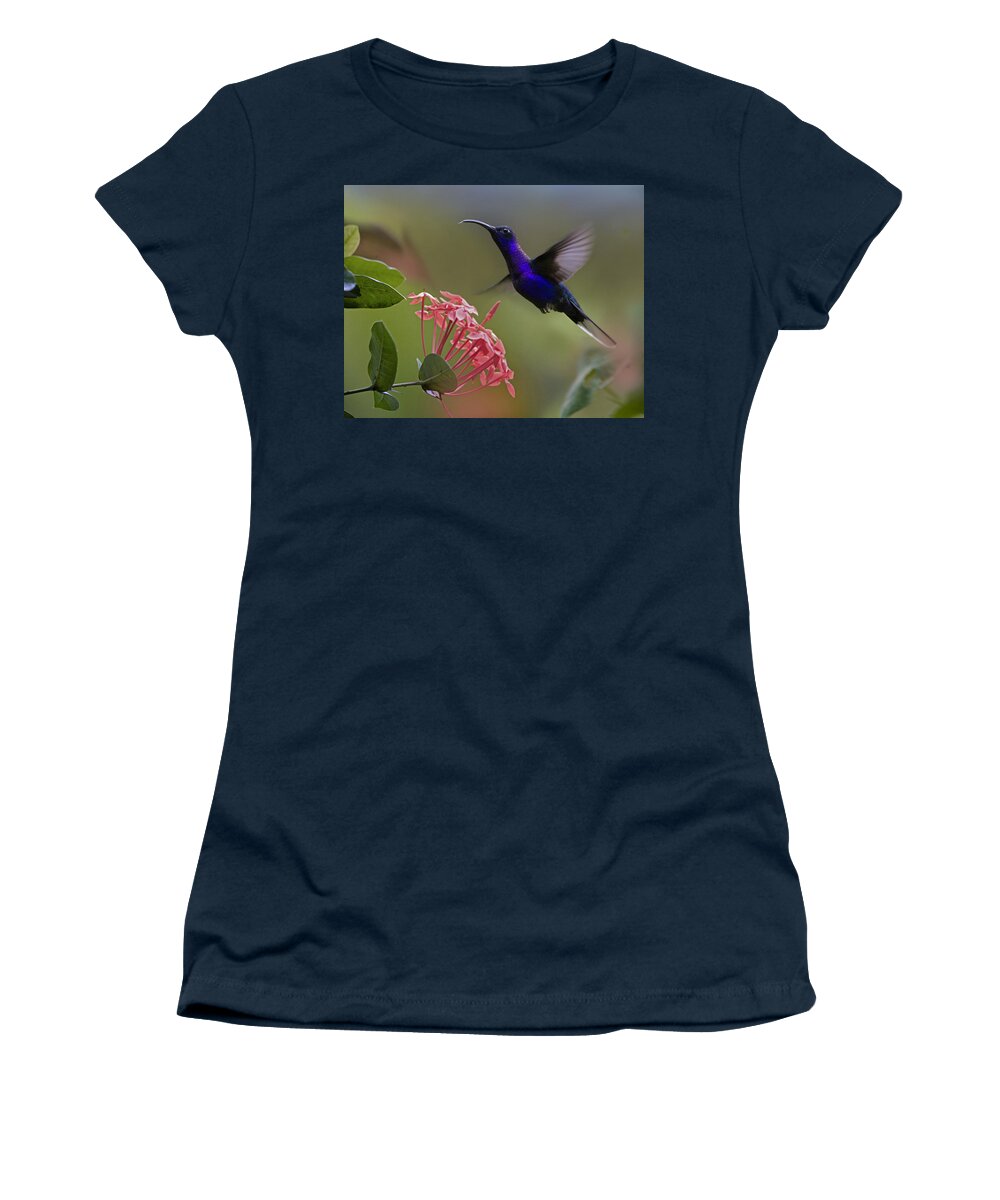 00429543 Women's T-Shirt featuring the photograph Violet Sabre Wing Male Hummingbird by Tim Fitzharris