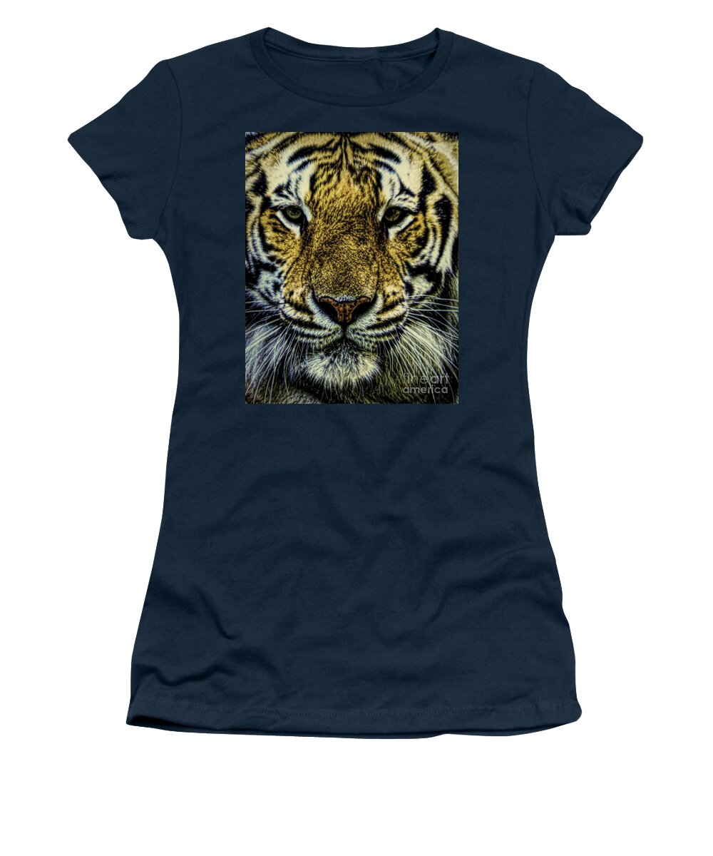 Big Cats Women's T-Shirt featuring the photograph Waiting by Ken Frischkorn