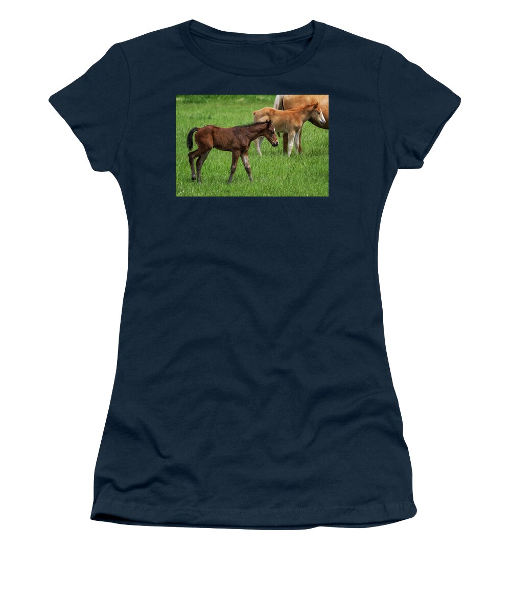 Horses Women's T-Shirt featuring the photograph Waiting on a Friend, No. 2 by Belinda Greb