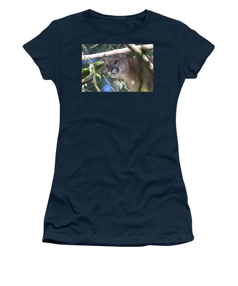 Palus Women's T-Shirt featuring the photograph Watchful Eyes by Laddie Halupa