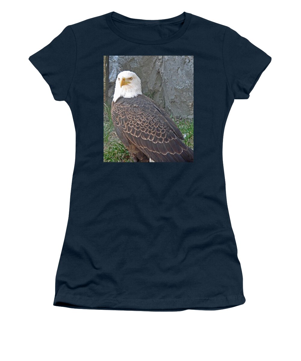 Eagle Women's T-Shirt featuring the photograph Watching by Barbara McDevitt