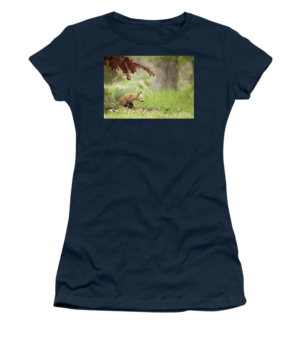 Red Fox Women's T-Shirt featuring the photograph Watching by Eilish Palmer