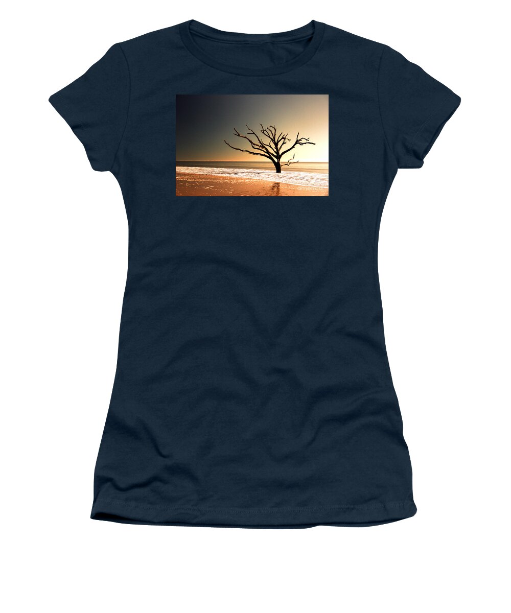 Tree Women's T-Shirt featuring the photograph We Can Be Heroes by Dana DiPasquale