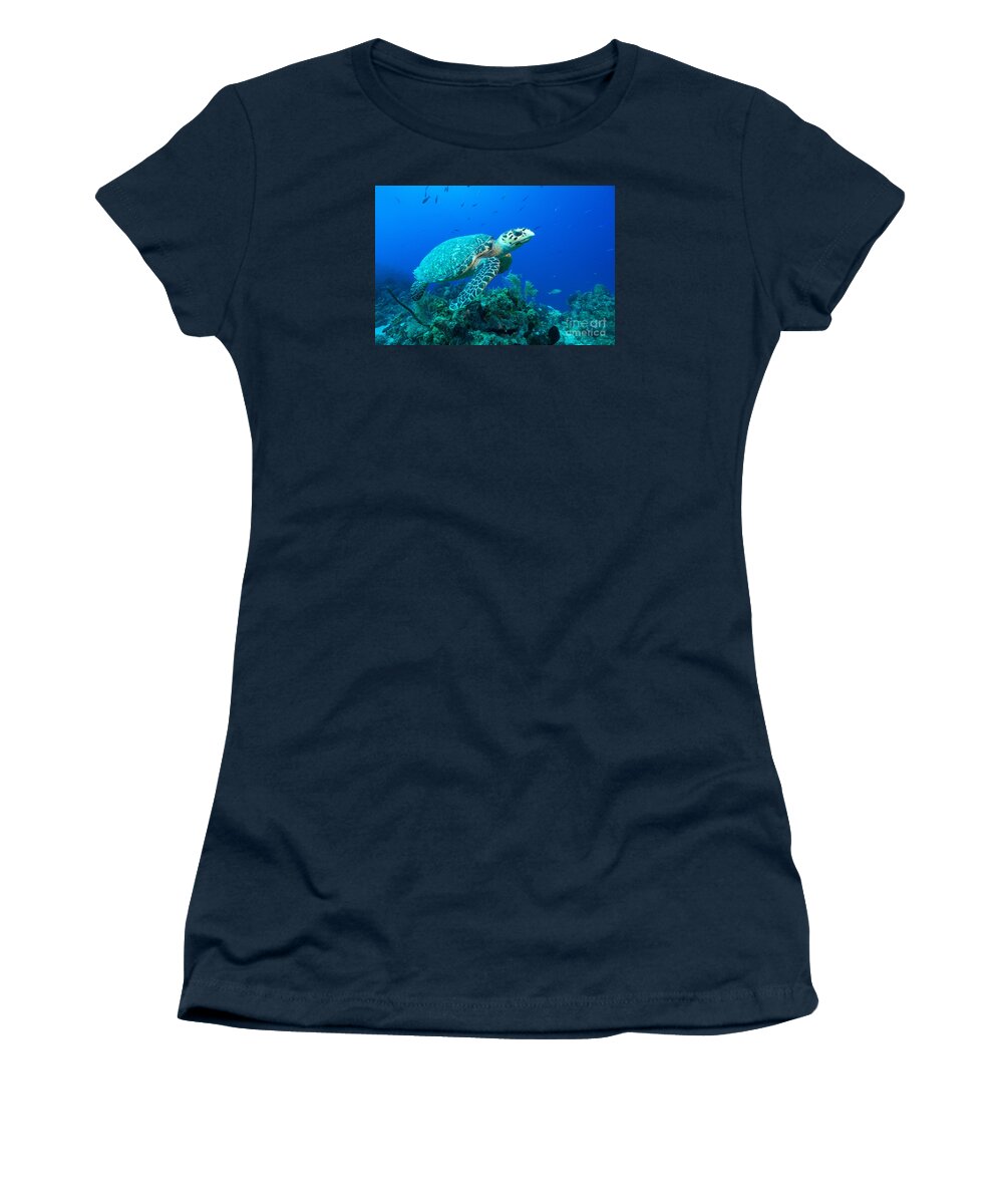 Hawksbill Turtle Women's T-Shirt featuring the photograph West Caicos Traveler by Aaron Whittemore