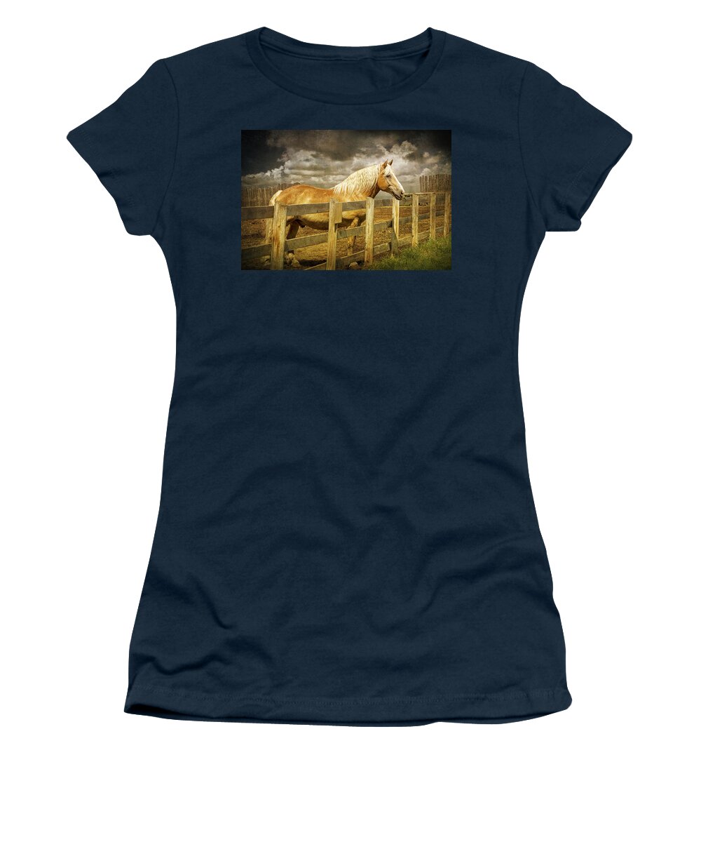 Art Women's T-Shirt featuring the photograph Western Horse in Alberta Canada by Randall Nyhof