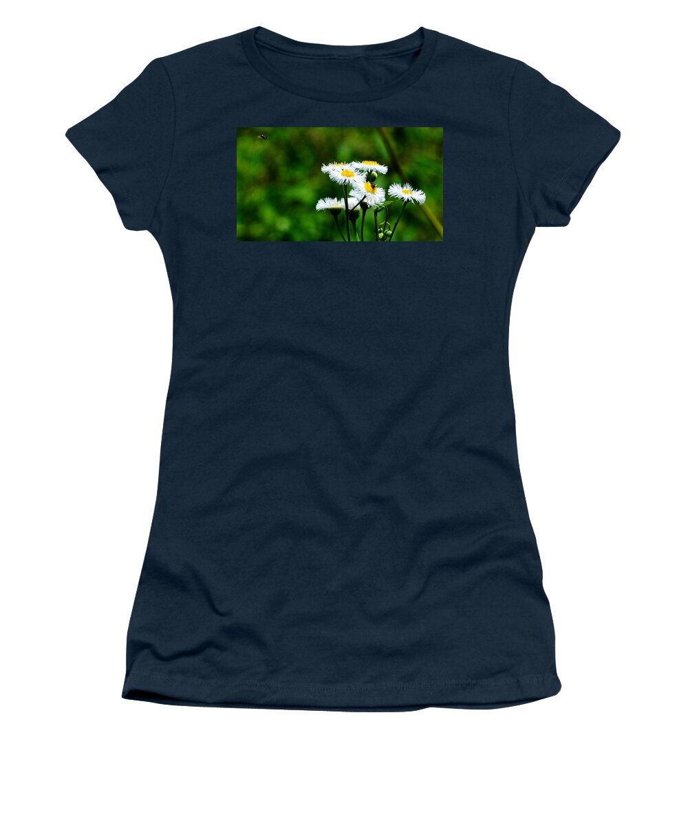 Flowers Women's T-Shirt featuring the photograph Bellis Daisy by Eileen Brymer