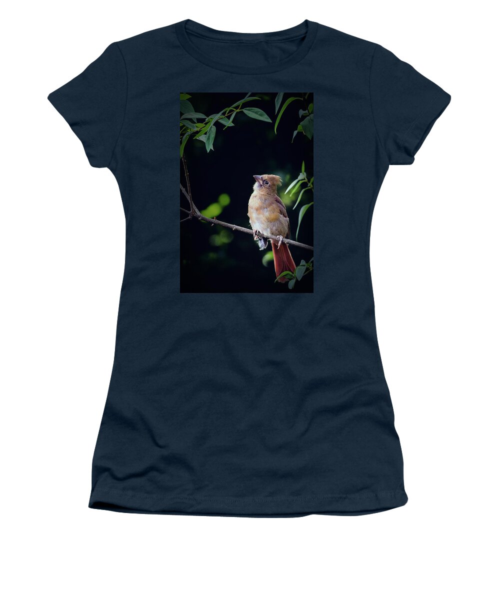 Northern Cardinal Women's T-Shirt featuring the photograph When God Speaks by Annette Hugen