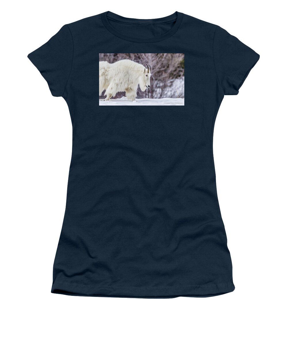 Mountain Women's T-Shirt featuring the photograph Where Mountain Goats Walk by Yeates Photography