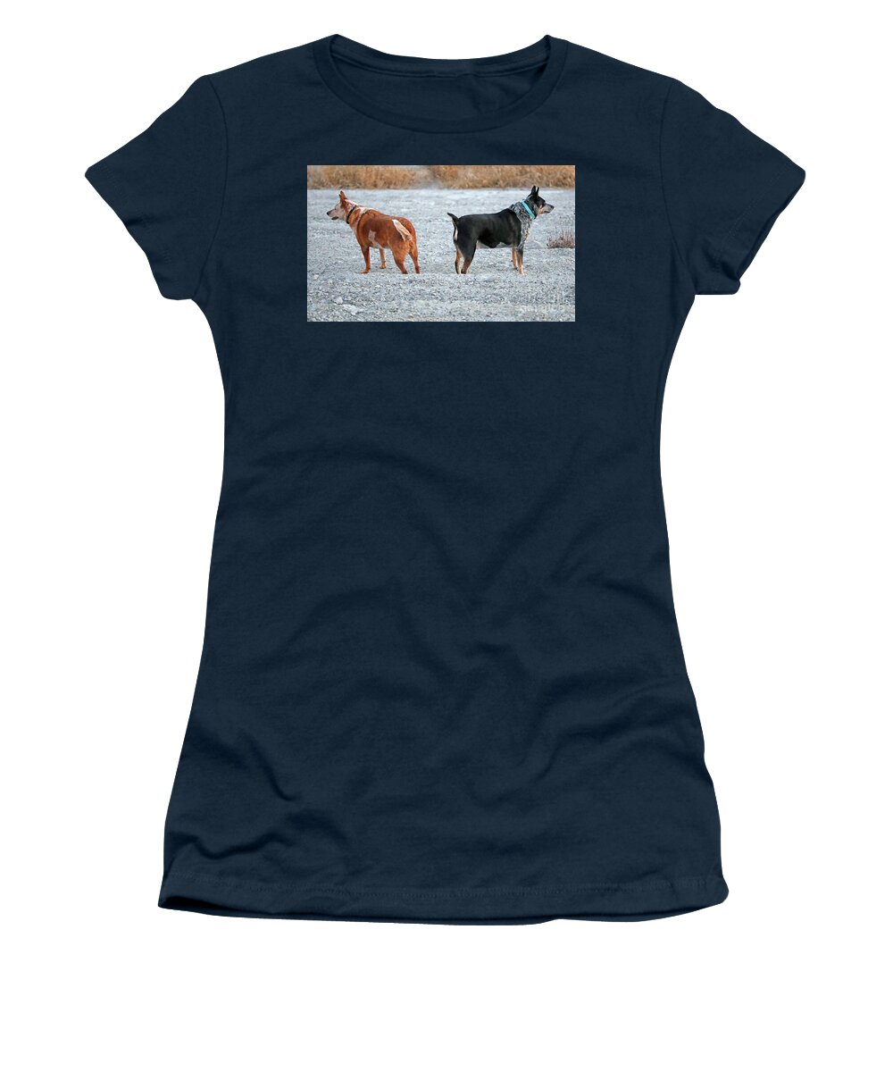 Blue Heeler Women's T-Shirt featuring the photograph Which way...this way...no this way by Elizabeth Winter