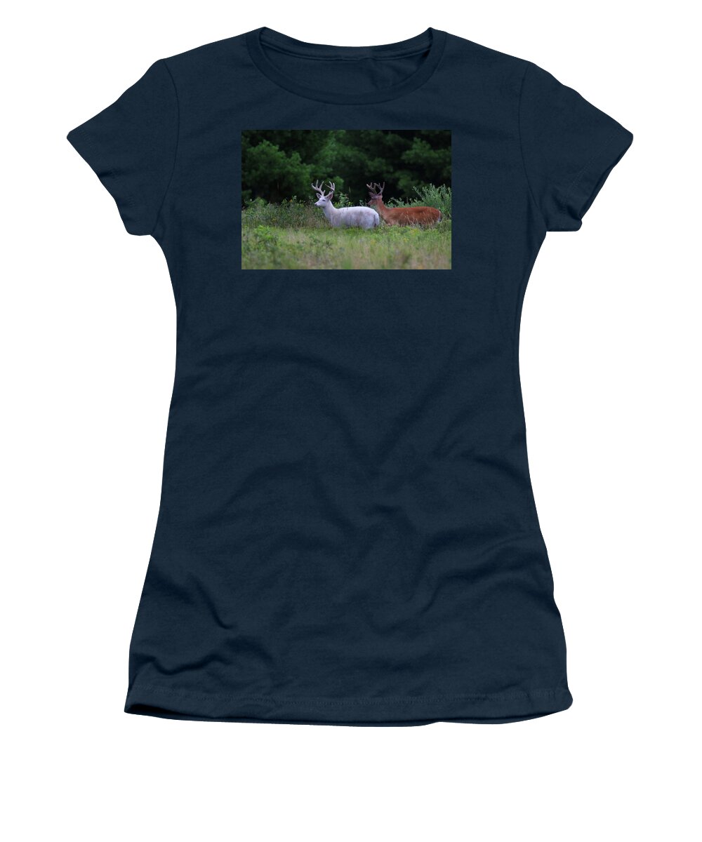 Deer Women's T-Shirt featuring the photograph White and Brown Bucks by Brook Burling