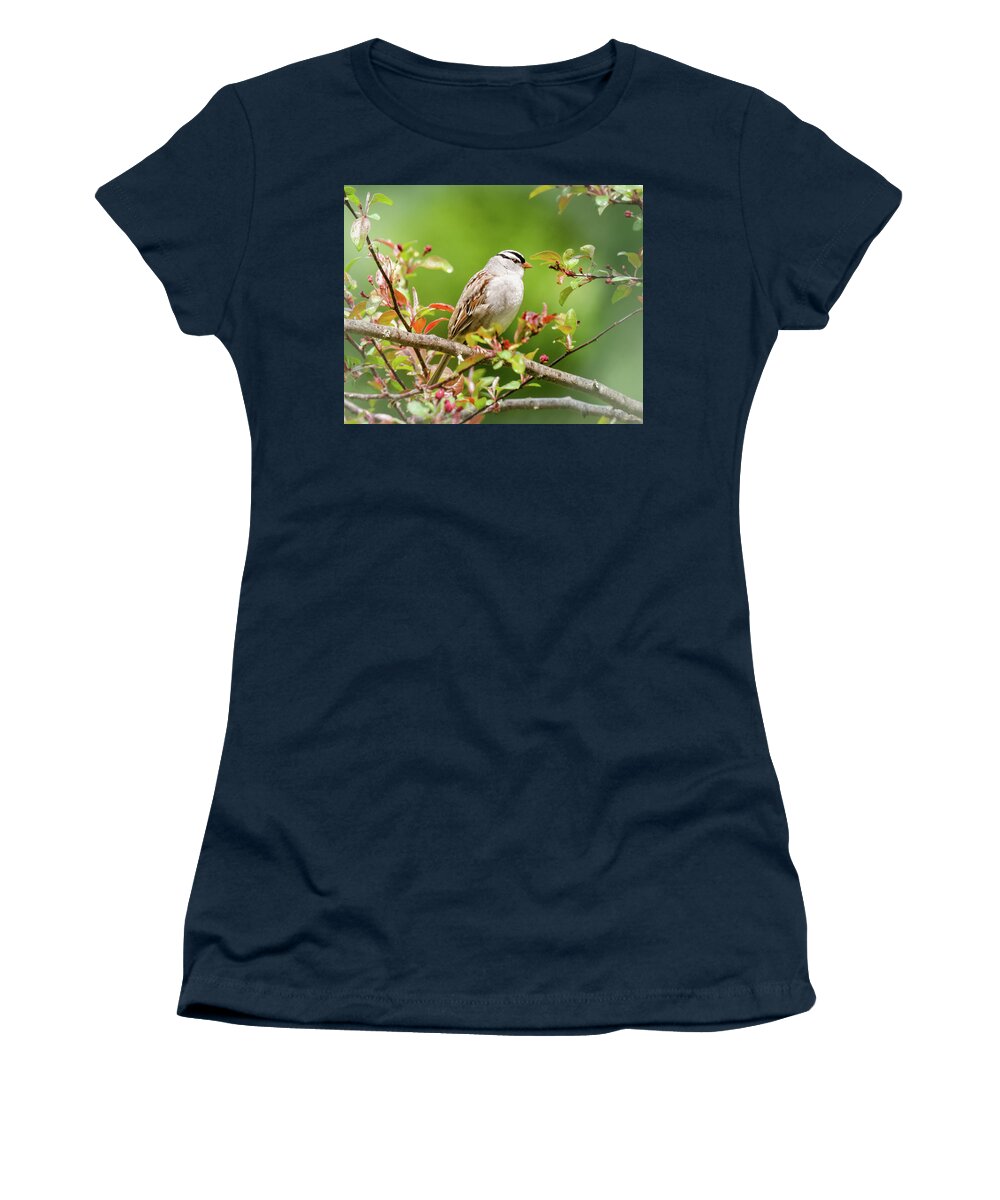 White-crowned Sparrow Women's T-Shirt featuring the photograph White-crowned Sparrow by Kristin Hatt
