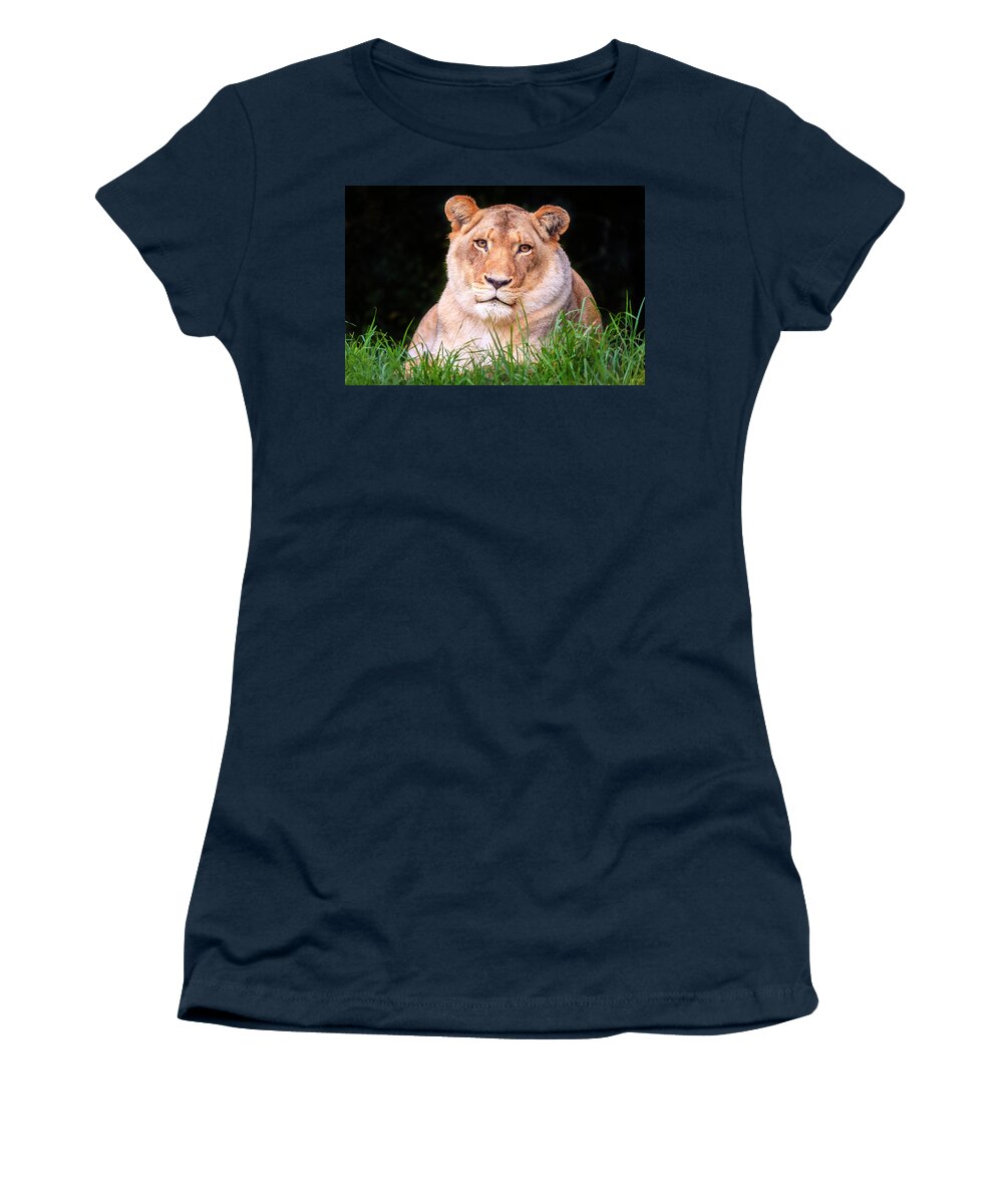 Jukani Women's T-Shirt featuring the photograph White lion by Alexey Stiop