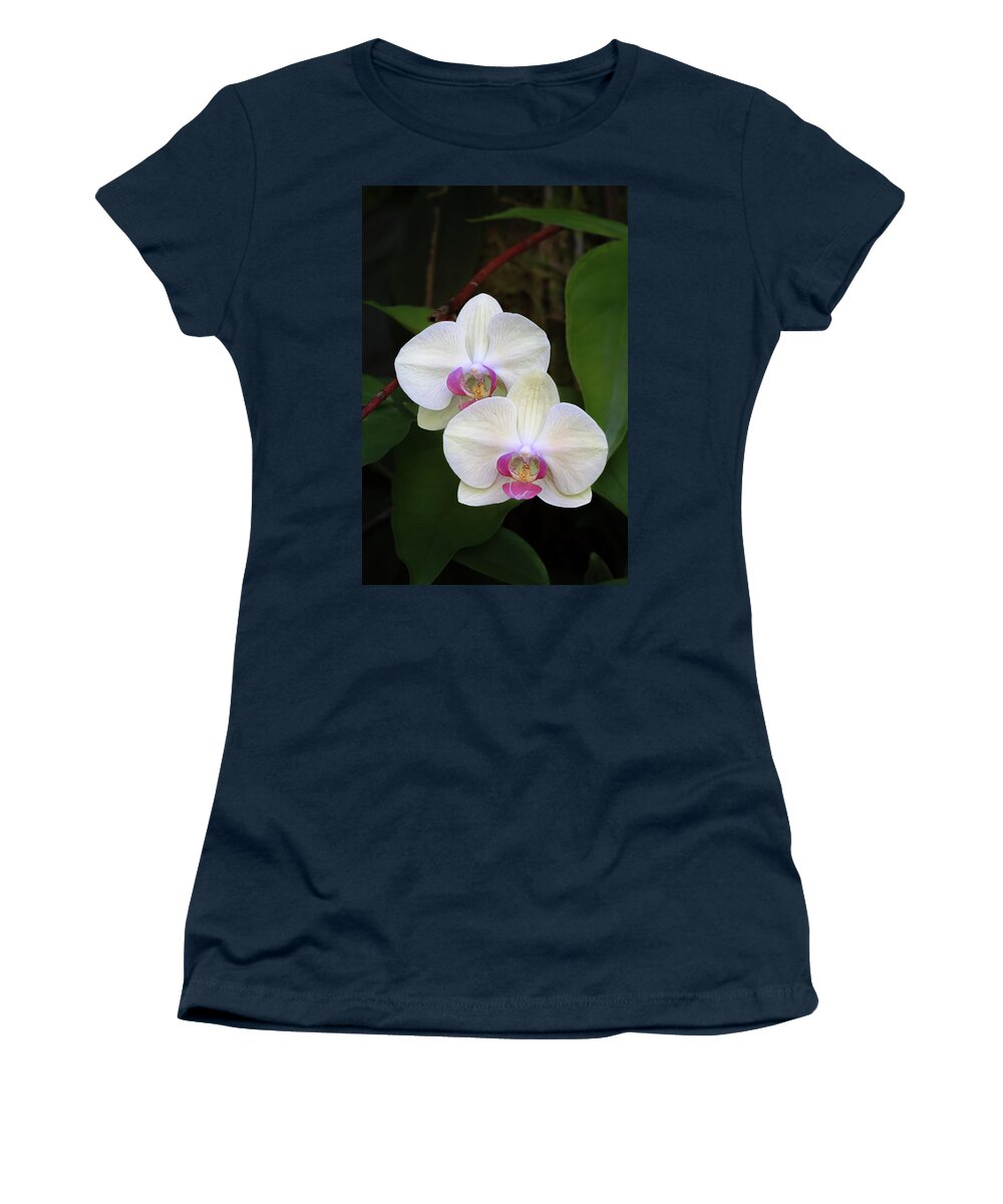 Orchid Women's T-Shirt featuring the photograph White Moth Orchid by Susan Rissi Tregoning
