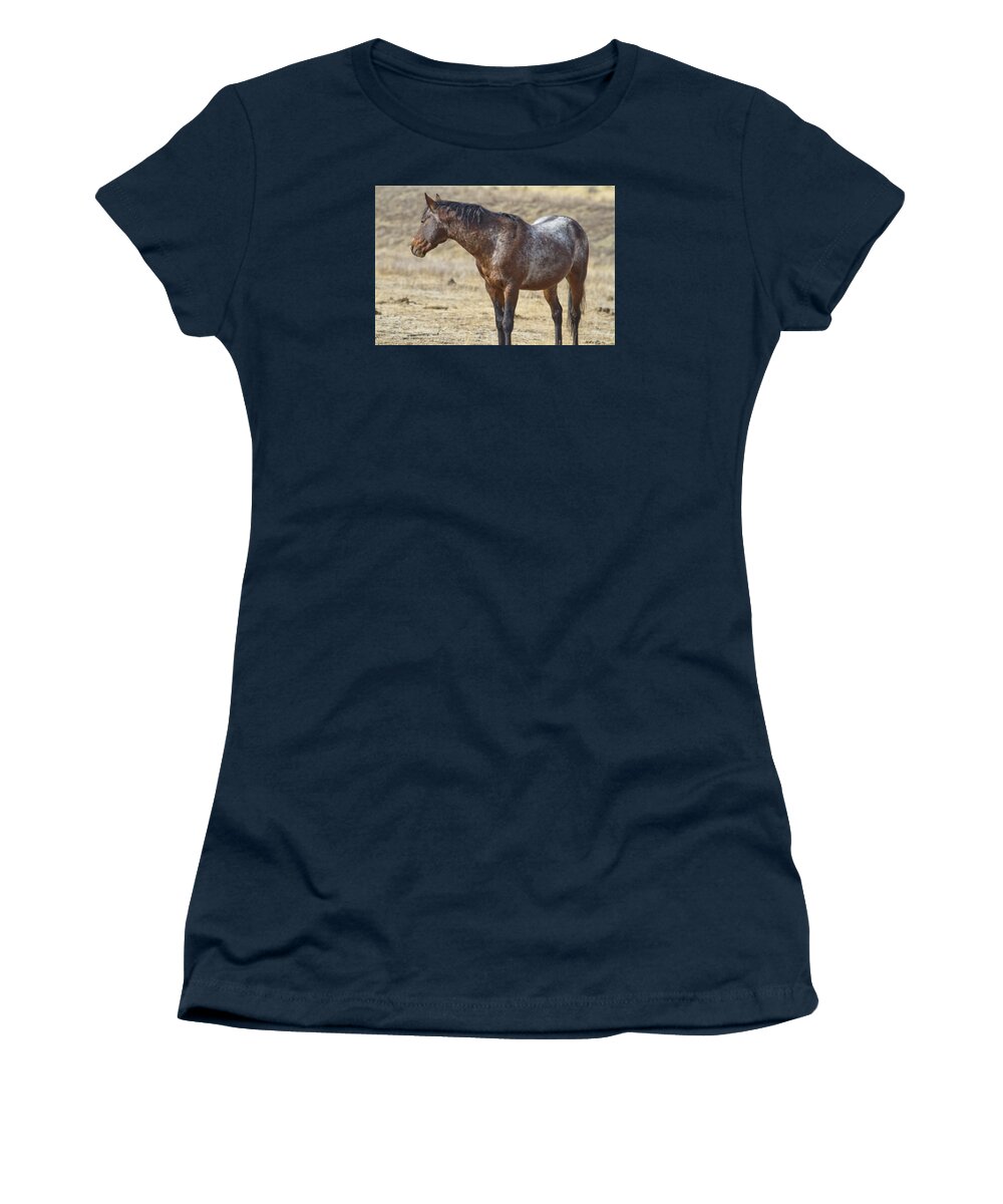 Horses Women's T-Shirt featuring the photograph Wild Appaloosa Mustang Stallion by Waterdancer 