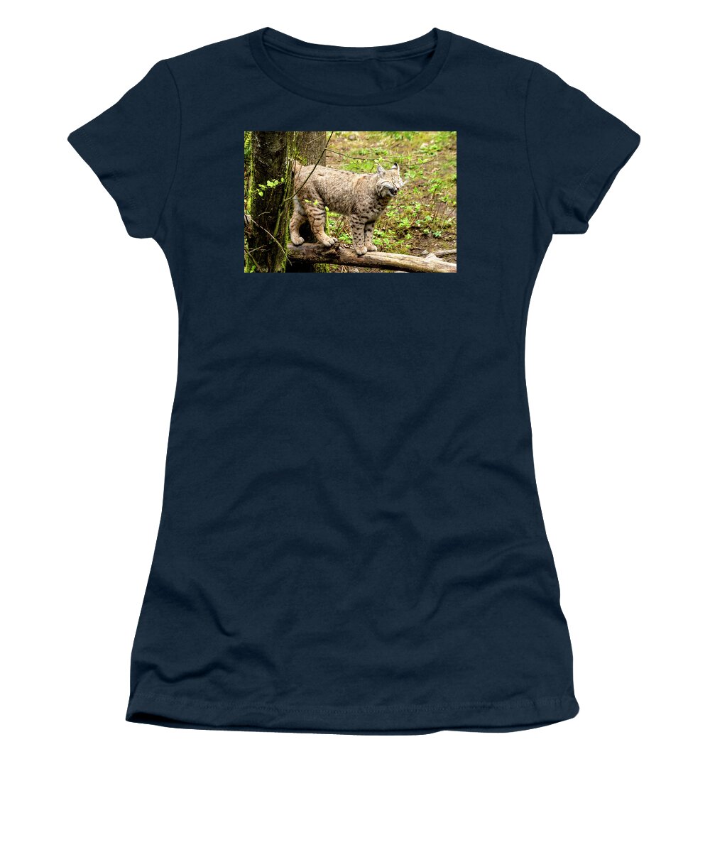 Animal Women's T-Shirt featuring the photograph Wild Bobcat in Mountain Setting by Teri Virbickis