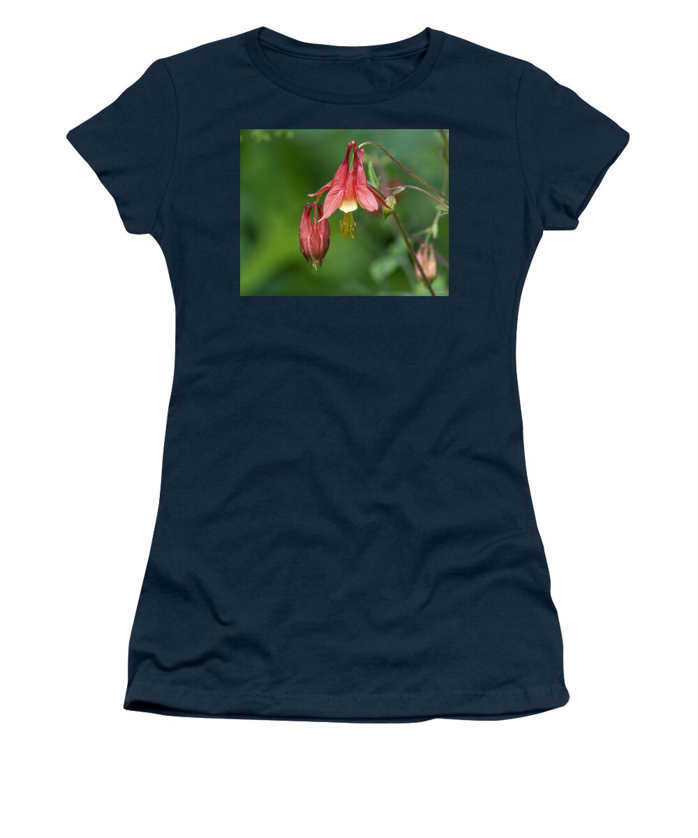 Nature Women's T-Shirt featuring the photograph Wild Columbine Aquilegia canadensis DSPF0358 by Gerry Gantt