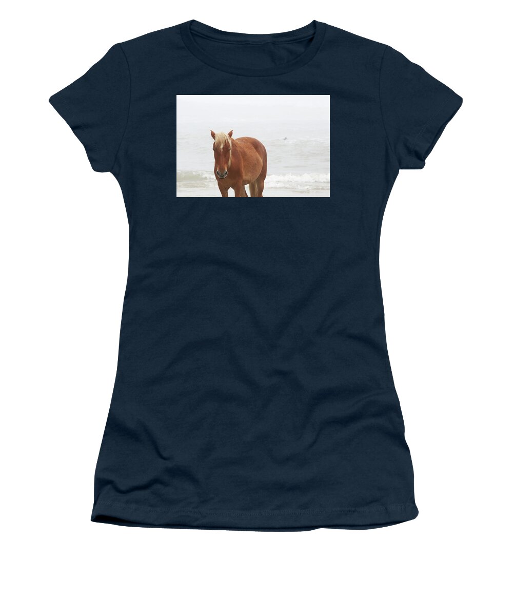 Wild Horses Women's T-Shirt featuring the photograph Wild Horses At Corolla, NC 23 by David Stasiak
