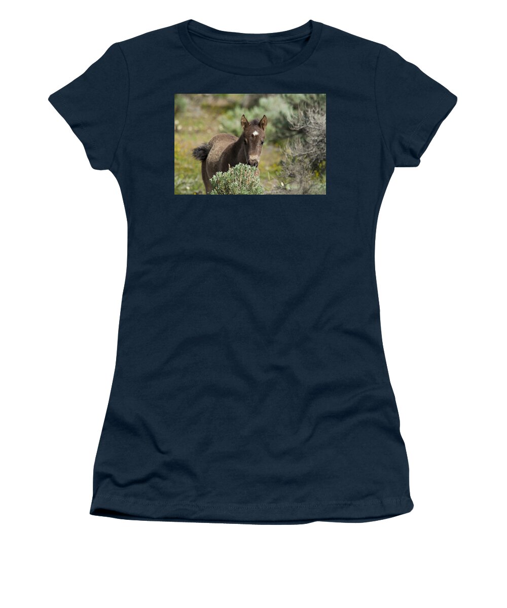 Horses Women's T-Shirt featuring the photograph Wild Mustang Foal by Waterdancer