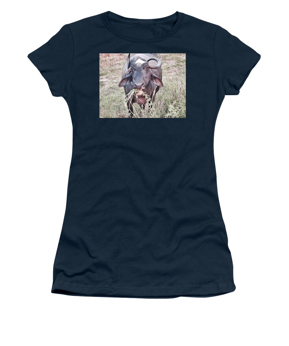 Water Buffalo Women's T-Shirt featuring the photograph Wilds of buffalo by LeLa Becker
