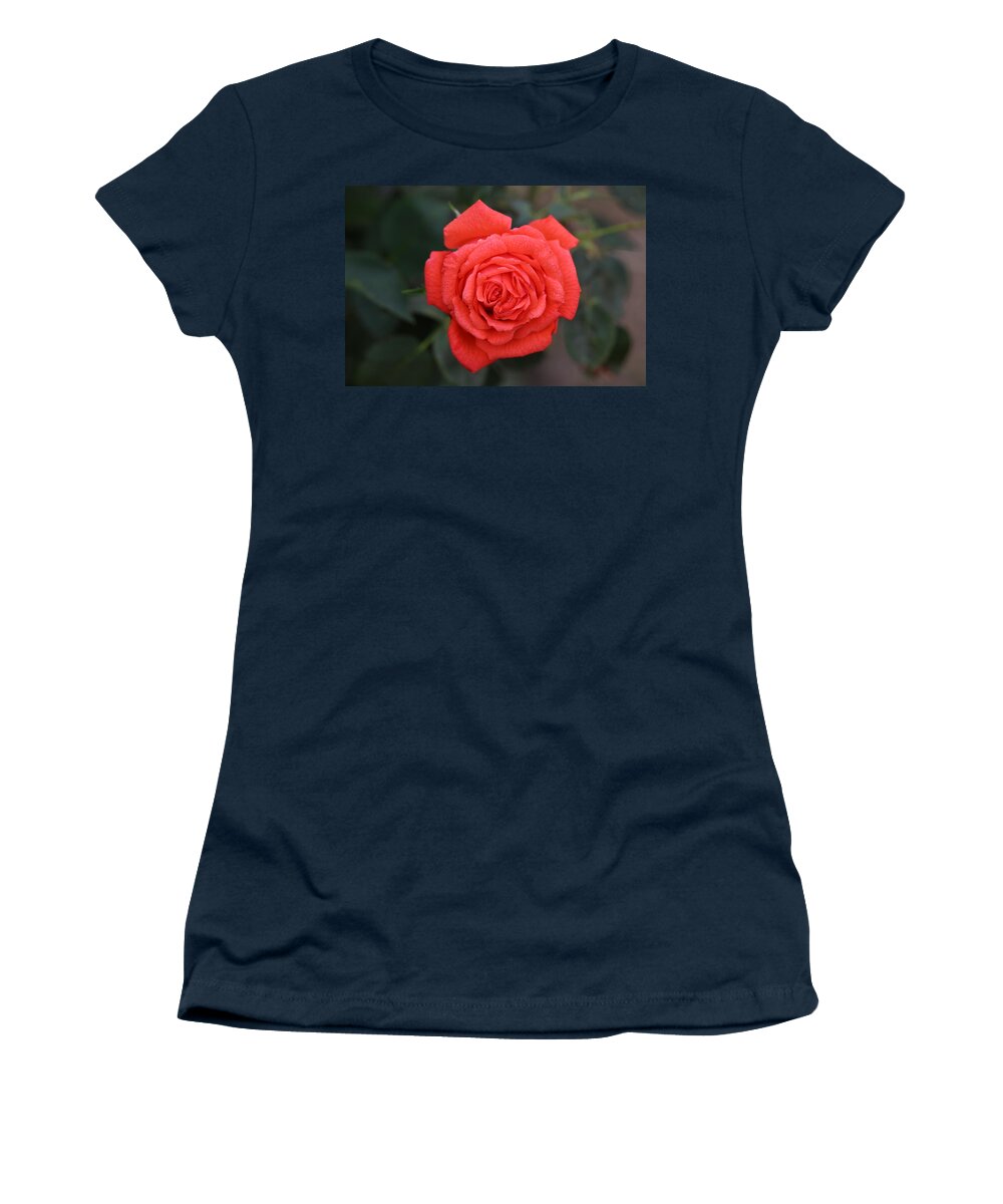 Red Women's T-Shirt featuring the photograph Winter rose by James Smullins