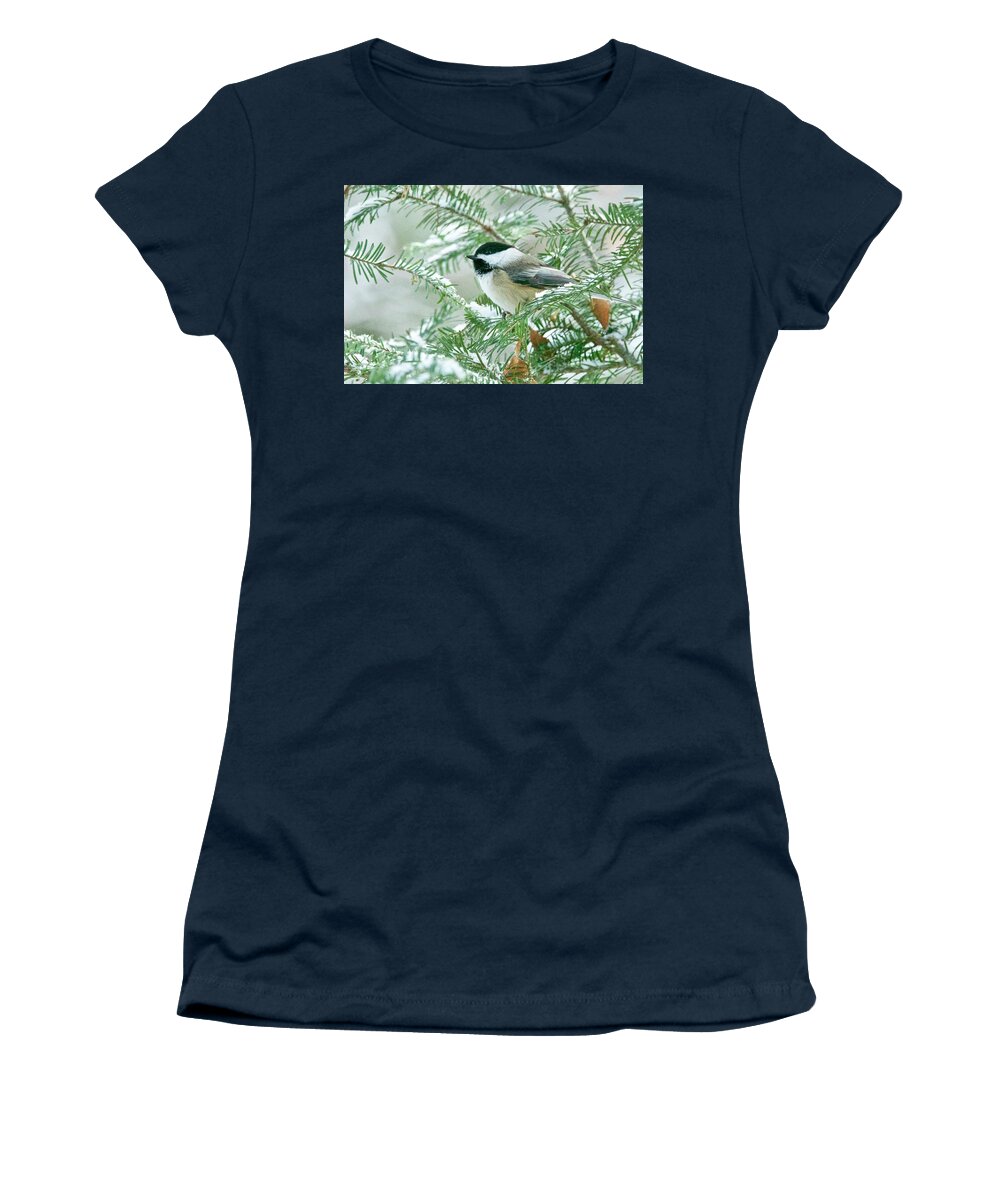 Chickadee Women's T-Shirt featuring the photograph Winter visitor by Michael Peychich