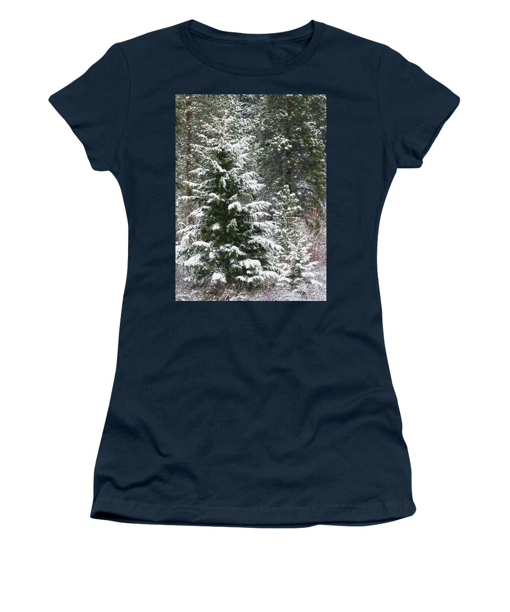 Winter Woodland Women's T-Shirt featuring the photograph Winter Woodland by Will Borden