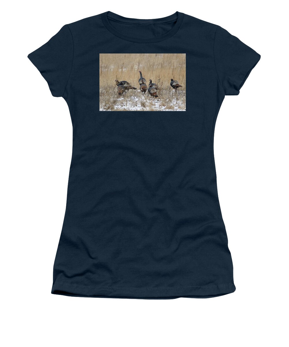 Turkey Women's T-Shirt featuring the photograph Wisconsin Turkeys by Brook Burling