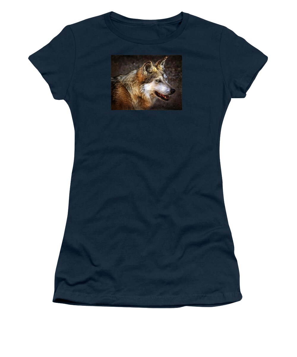 Wolf Women's T-Shirt featuring the photograph Wolf Portait by Elaine Malott