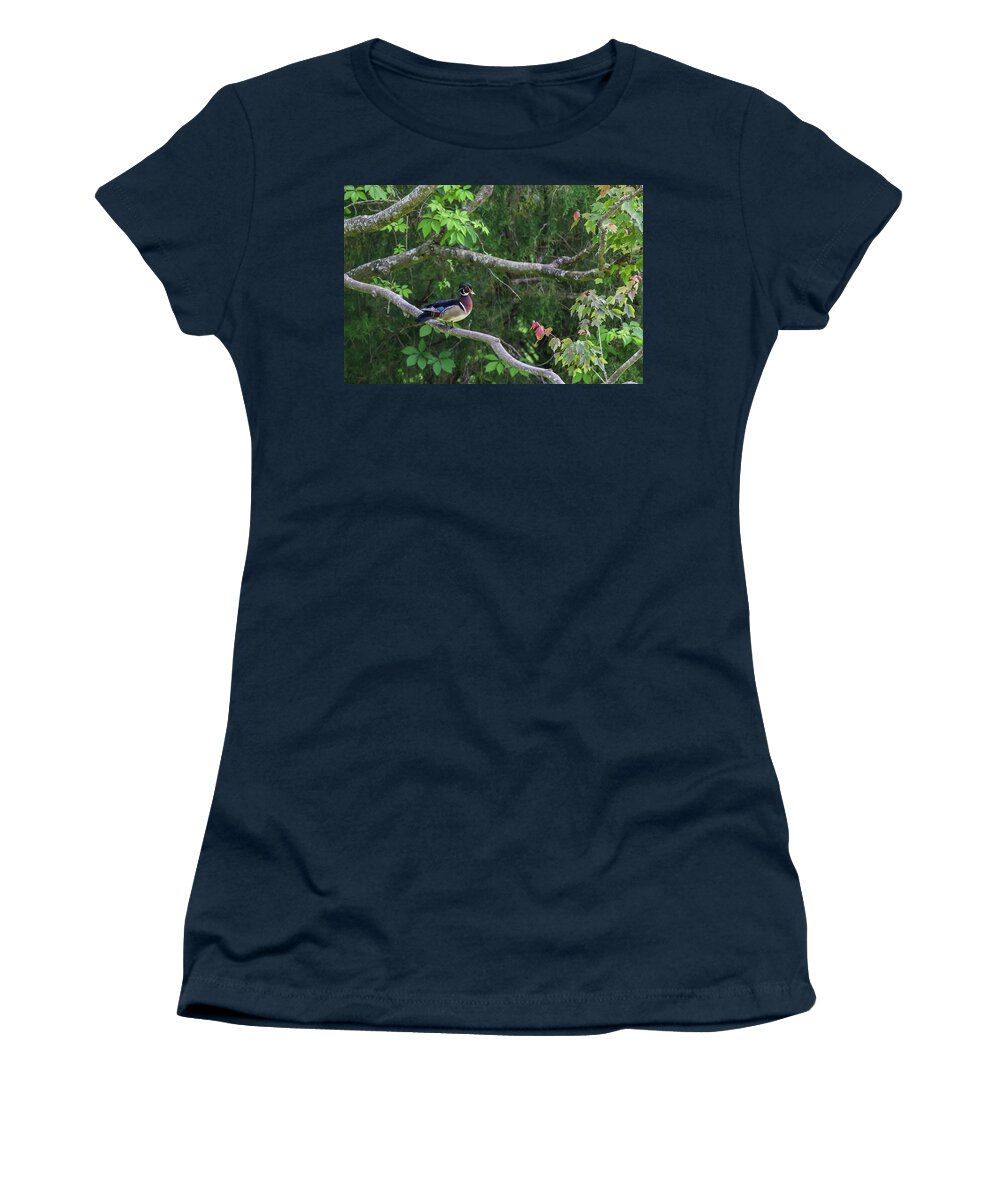 Waterfowl Women's T-Shirt featuring the photograph Wood Duck in tree by Kevin Craft