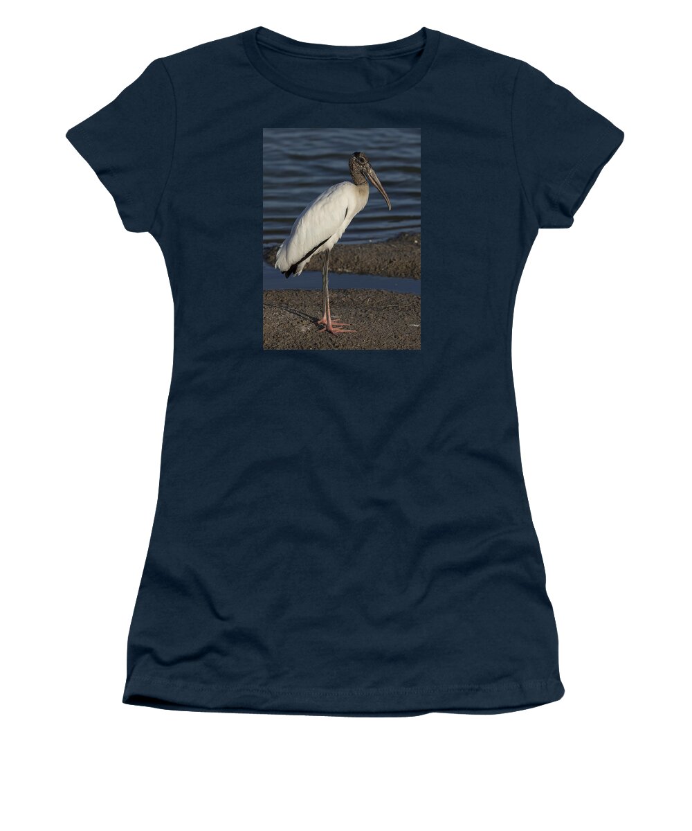 Wood Women's T-Shirt featuring the photograph Wood Stork in the final light of day by David Watkins