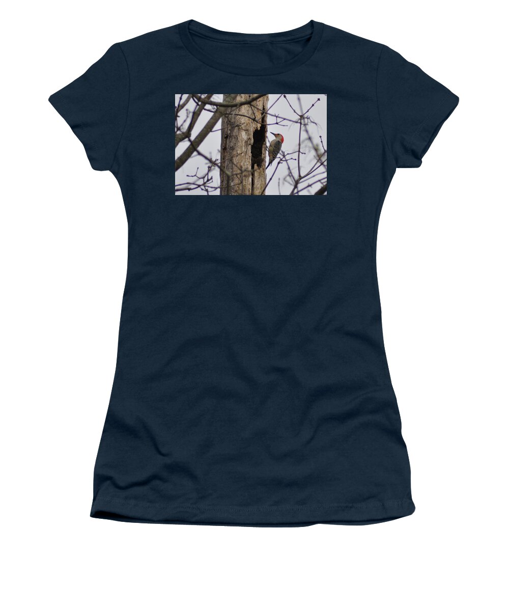 Woodpecker Women's T-Shirt featuring the photograph Woodpecker and a Hollow Tree by Bill Cannon