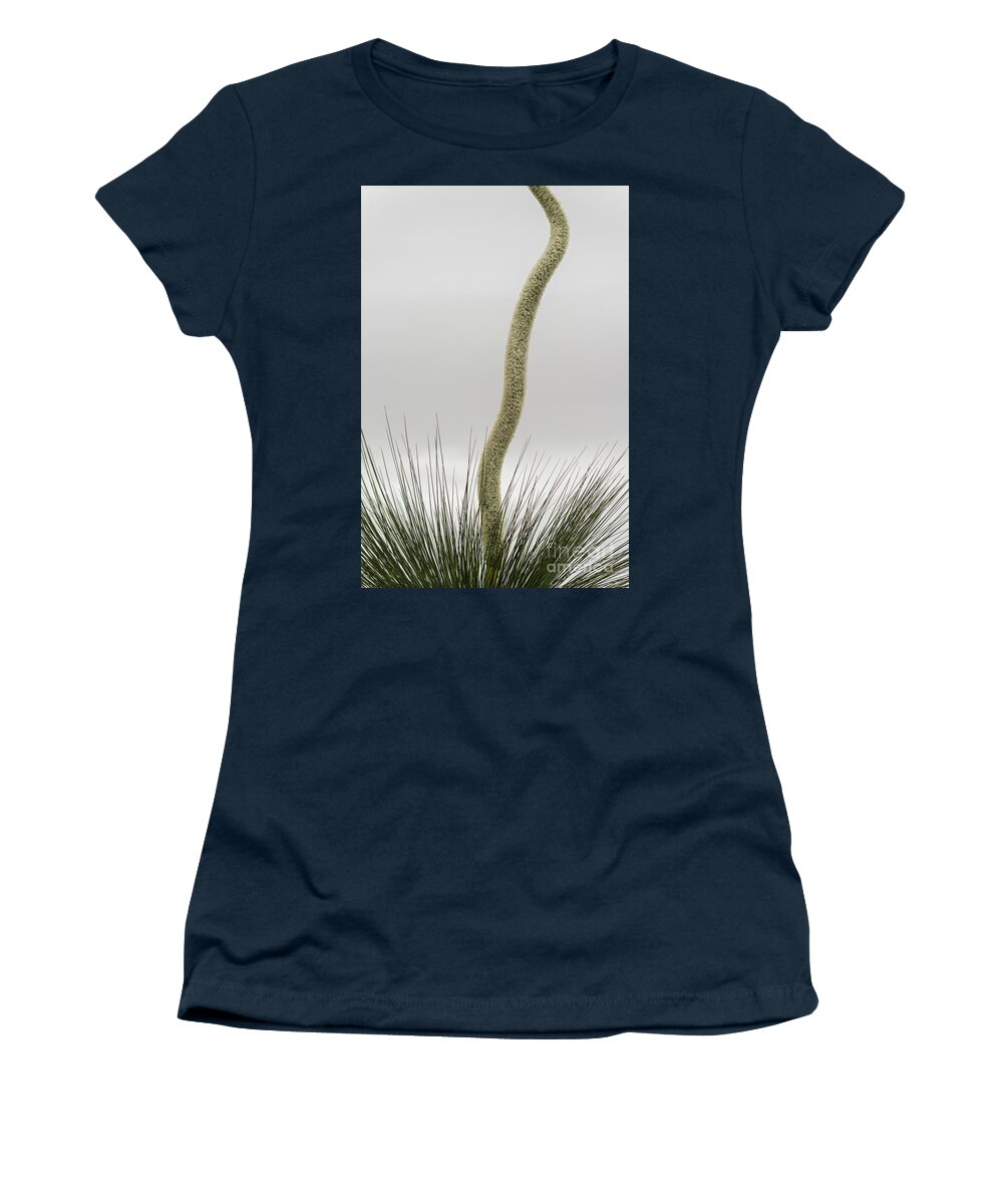 Flora Women's T-Shirt featuring the photograph Xanthorrhoea 01 by Werner Padarin