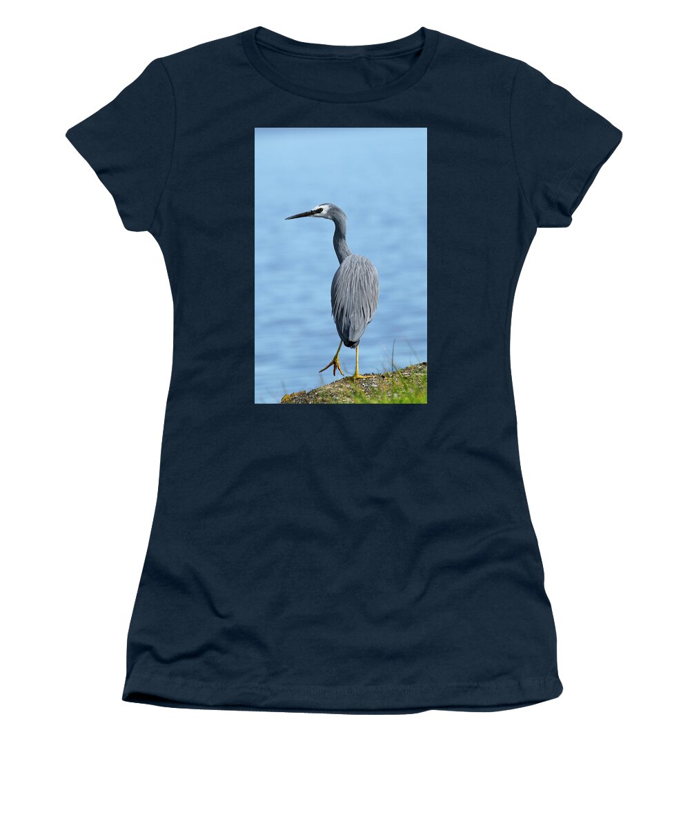 Birds Australia Women's T-Shirt featuring the photograph Yellow legs 01 by Kevin Chippindall