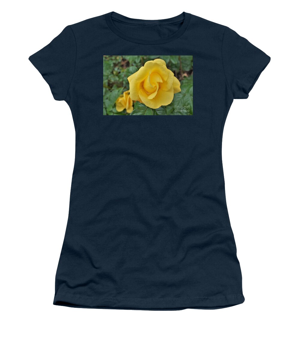 Rose Women's T-Shirt featuring the photograph Yellow rose by Merle Grenz