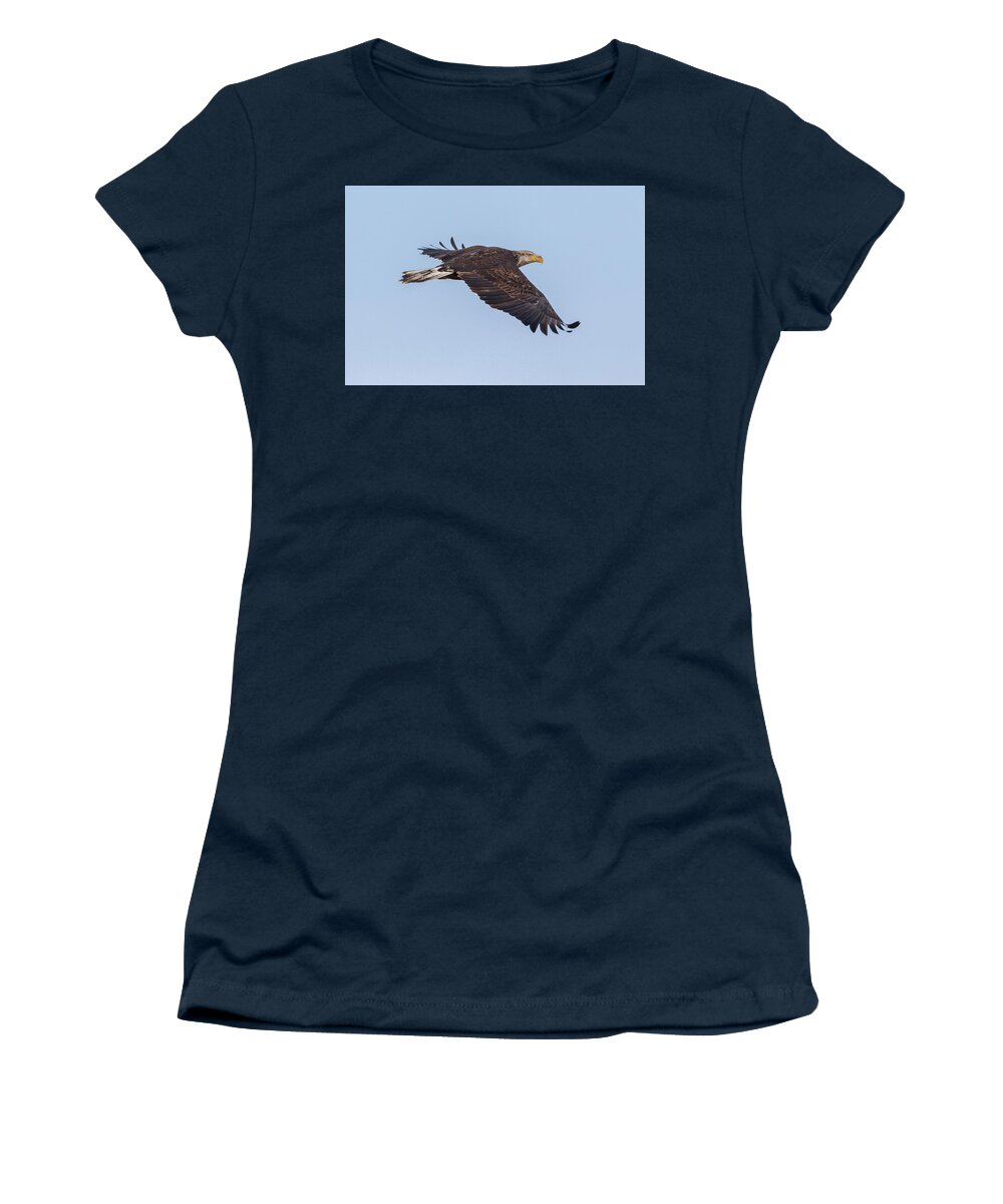 Bald Eagle Women's T-Shirt featuring the photograph Young Bald Eagle Heads Off to Hunt by Tony Hake