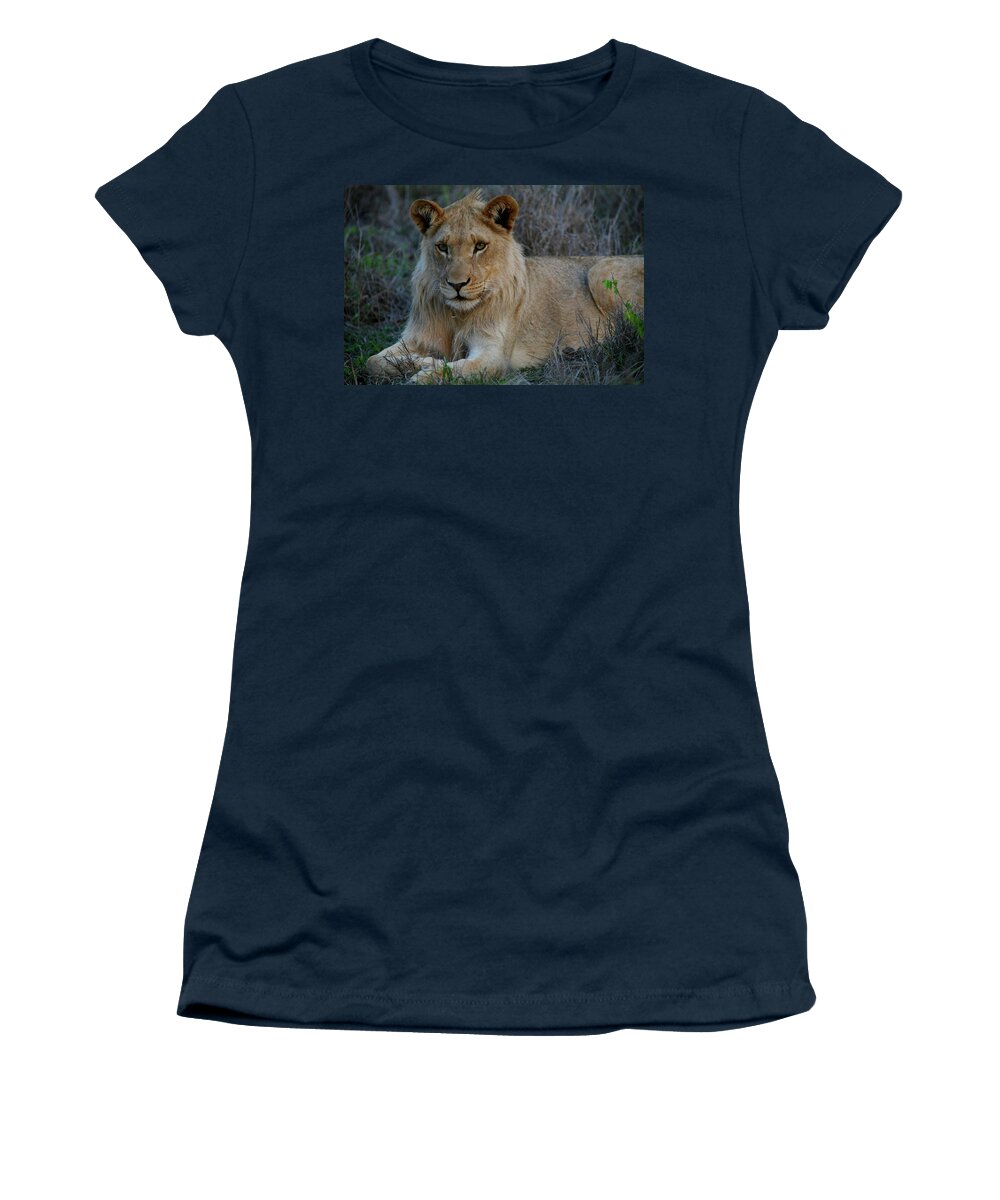 Lion Women's T-Shirt featuring the photograph Young King by Bruce J Robinson