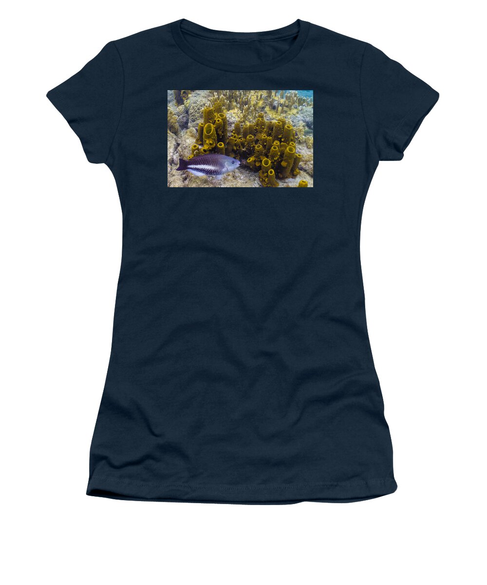 Ocean Women's T-Shirt featuring the photograph Young Queen by Lynne Browne