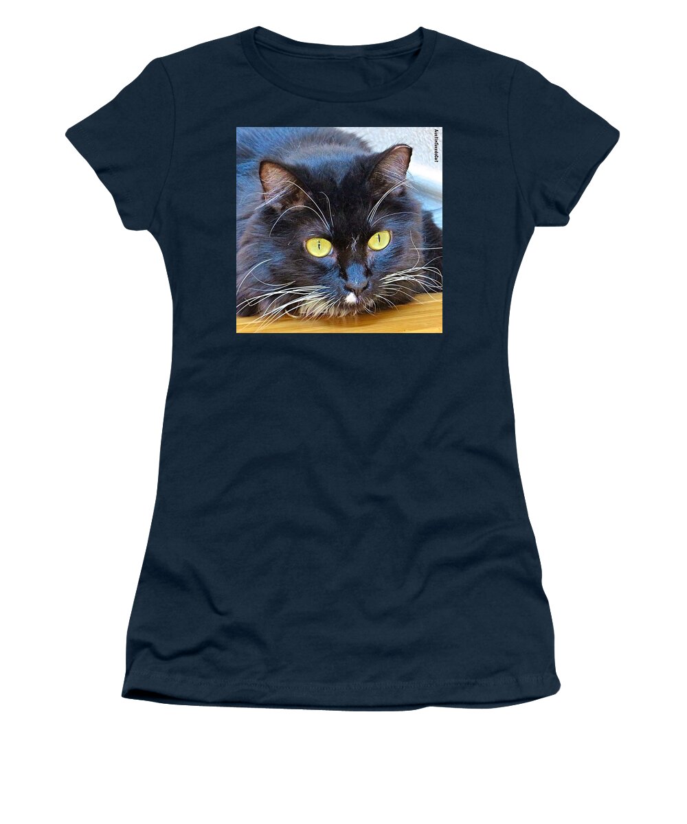 Catstagram Women's T-Shirt featuring the photograph Ziggy The #tuxedocat Wishes You A Very by Austin Tuxedo Cat