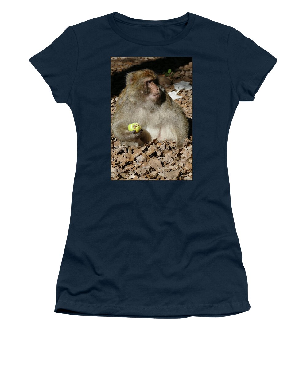 African Women's T-Shirt featuring the photograph Barbary Macaque by the side of the highway #1 by Steve Estvanik