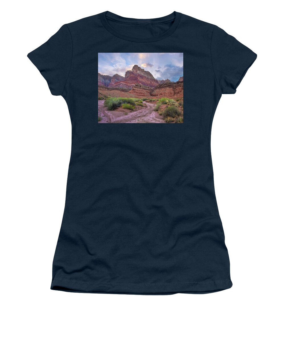 00574850 Women's T-Shirt featuring the photograph Desert And Cliffs, Vermilion Cliffs by Tim Fitzharris