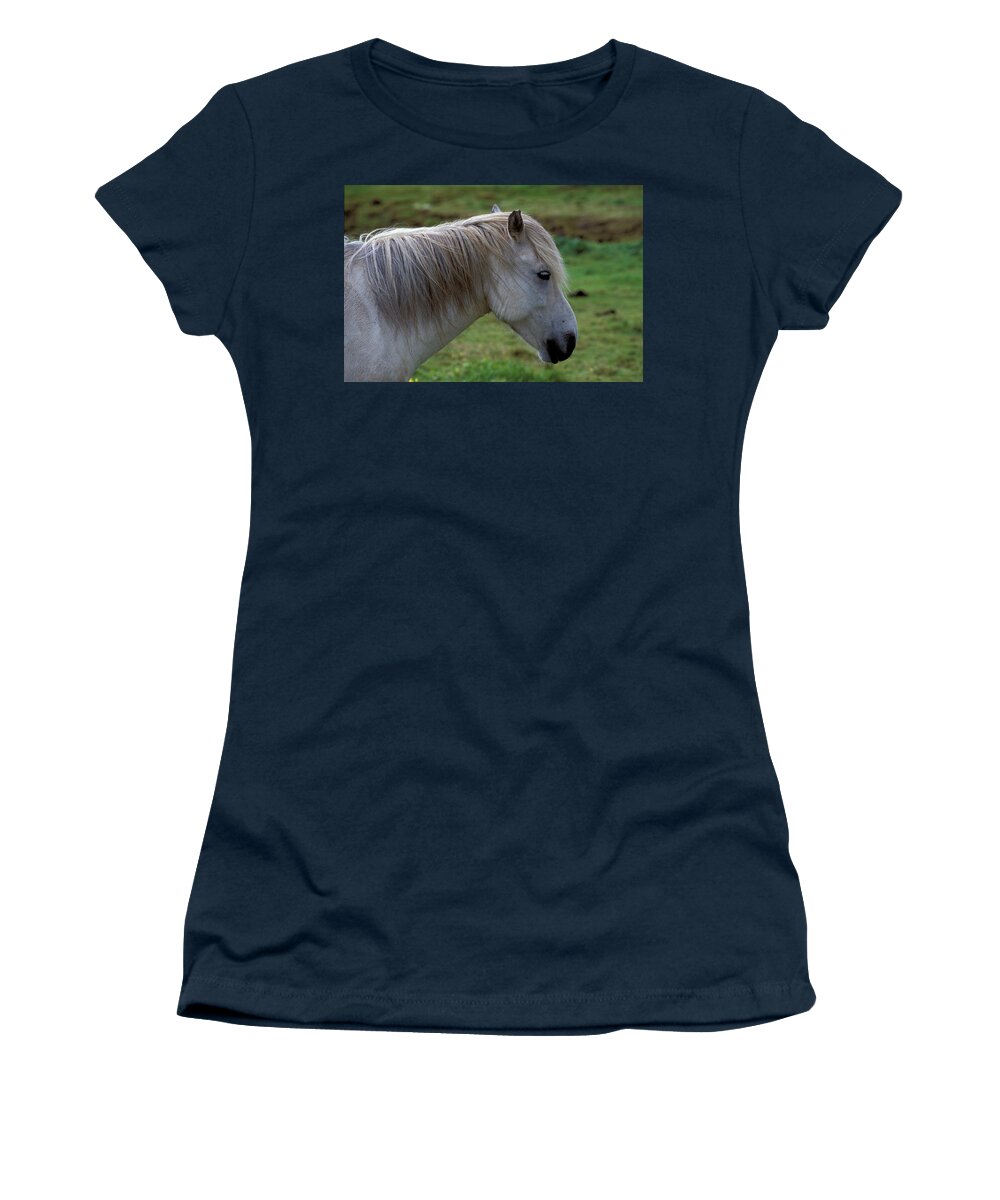 Estock Women's T-Shirt featuring the digital art Iceland, Pony Near Skalholt #1 by Heeb Photos