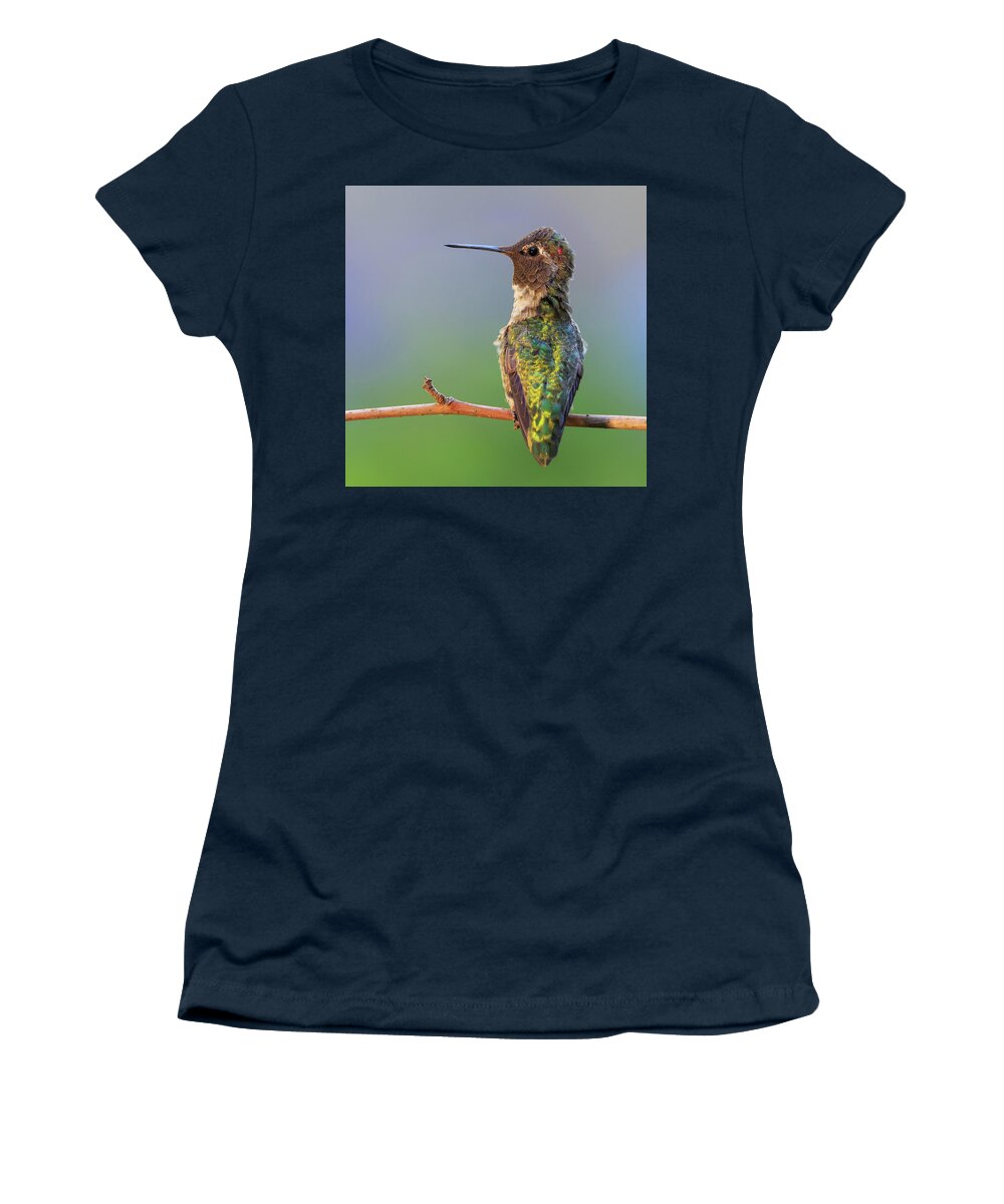 Animal Women's T-Shirt featuring the photograph Midsummer Night's Dream V - Male Anna's Hummingbird #1 by Briand Sanderson