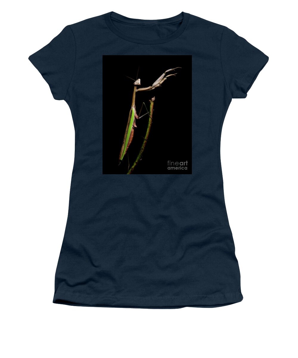 Praying Mantis Women's T-Shirt featuring the photograph Praying Mantis #1 by Diane Diederich