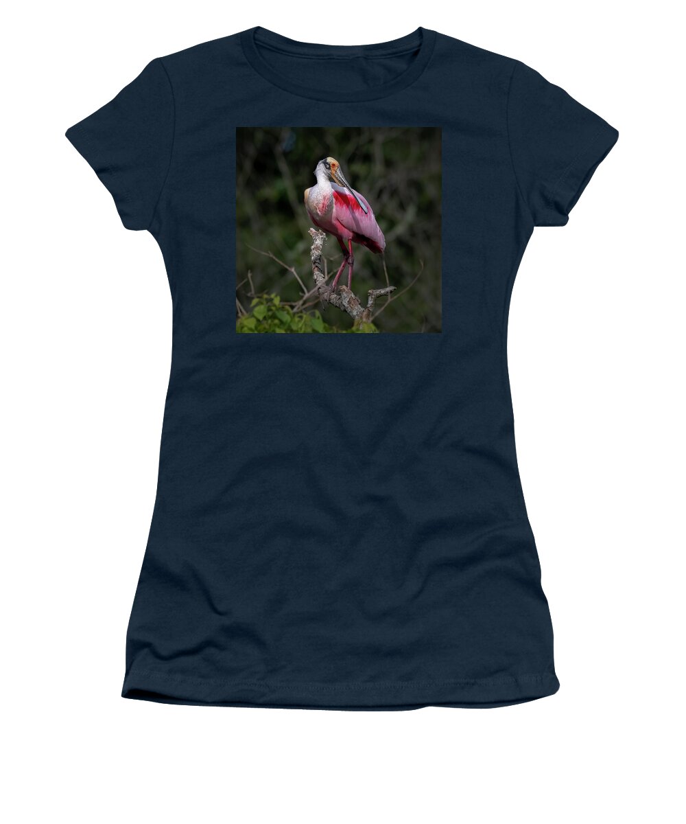 Rookery Women's T-Shirt featuring the photograph Roseate Spoonbill #1 by JASawyer Imaging