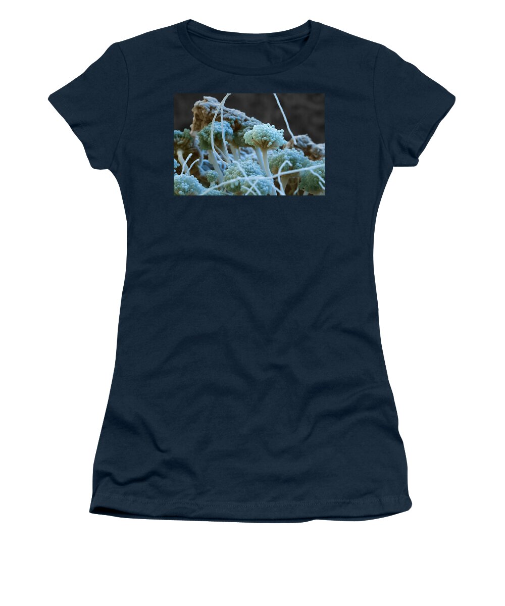 Aspergillus Women's T-Shirt featuring the photograph Sem Of Emericella Nidulans Fungus #1 by Meckes/ottawa