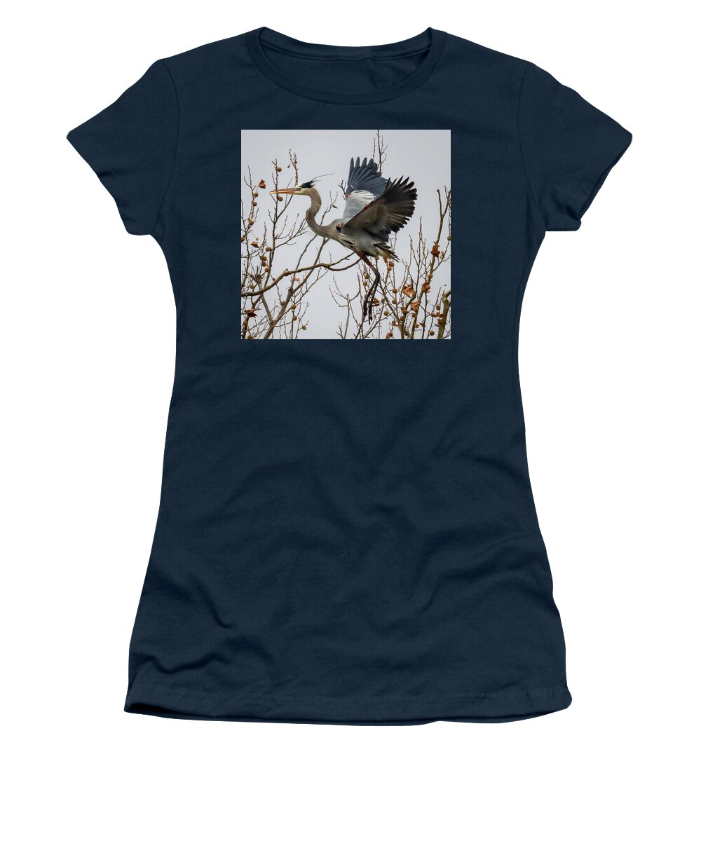 Blue Heron Women's T-Shirt featuring the photograph Blue Heron #3 by David Wagenblatt
