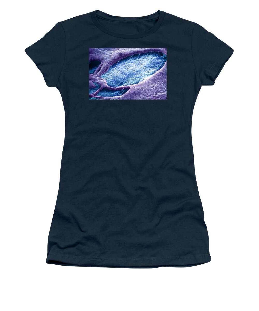 Abstract Women's T-Shirt featuring the photograph Iris Crypt, Sem #2 by Ralph C. Eagle