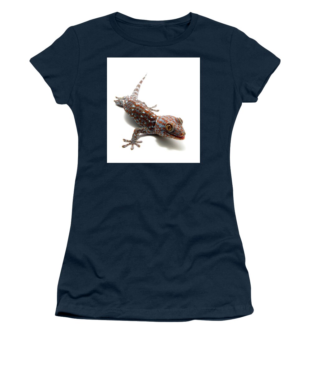 Lizard Women's T-Shirt featuring the photograph Tokay Gecko #2 by Nathan Abbott