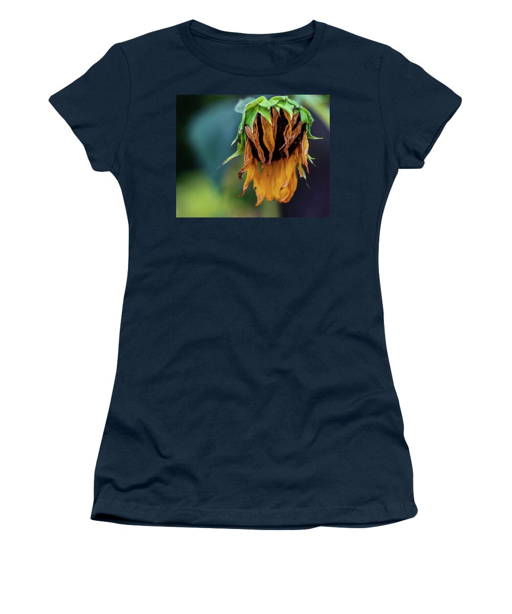 Arboretum Women's T-Shirt featuring the photograph Nature Photography Sunflower by Amelia Pearn