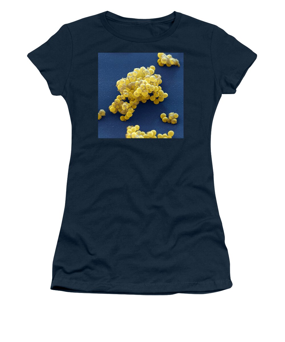 Aureus Women's T-Shirt featuring the photograph Staphylococcus Aureus #3 by Meckes/ottawa
